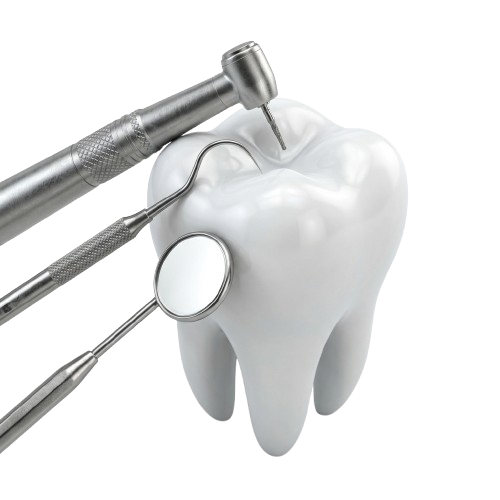3D Dental Tooth and Instruments